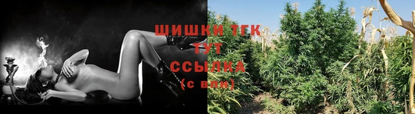 гидропоника Дмитров
