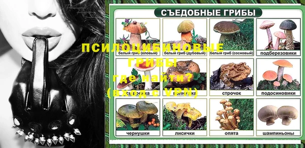 гидропоника Дмитров