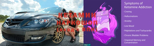 гидропоника Дмитров