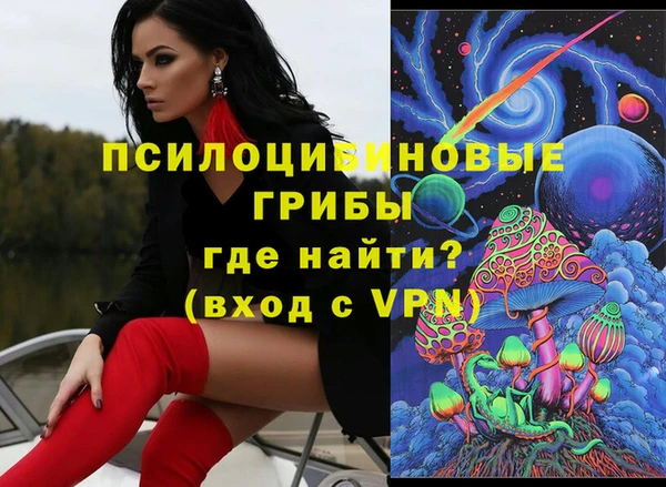 Альфа ПВП Дмитровск