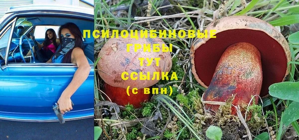каннабис Ельня